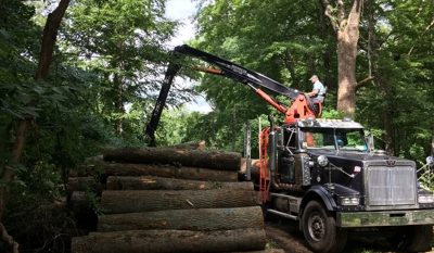 index_5_1772231058 truck moving logs in a forest