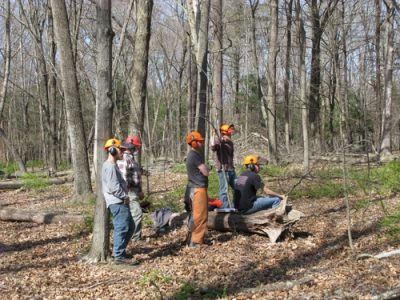 UConn Forest | Connecticut Forestry