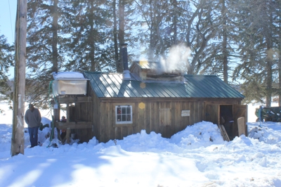 cabin in woods used for making syrup